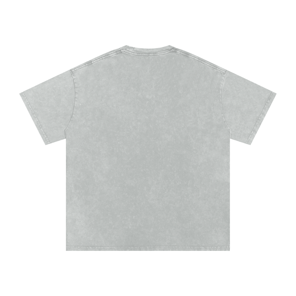 Snow Washed tee - Light Gray